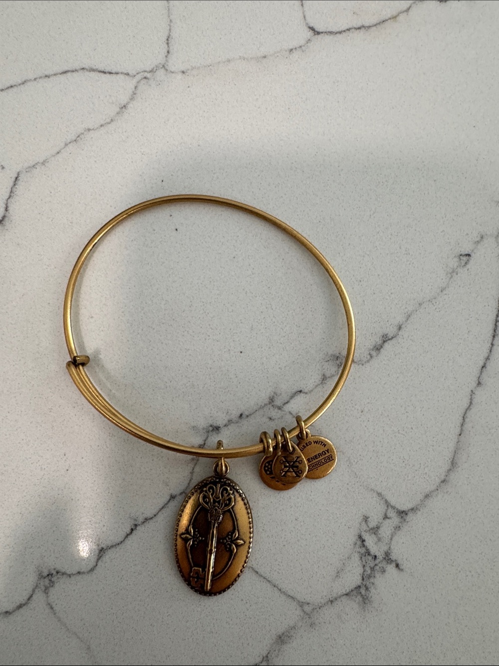 Alex and Ani Gold-Tone Charm Bangle Bracelet with Floral Key Pendant